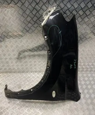 Nissan Qashqai+2 Fender