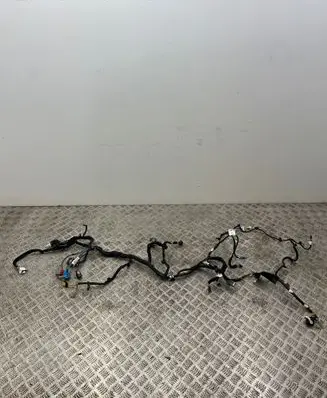 Citroen C3 Panel wiring 9812737380 A004HQ01 PF00675C5