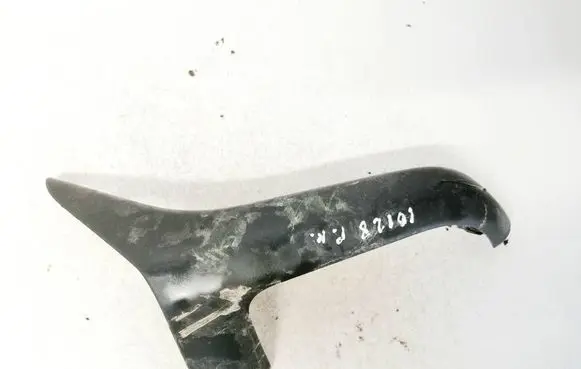 Other front door trim element