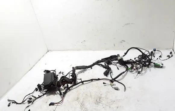 Other wiring loom
