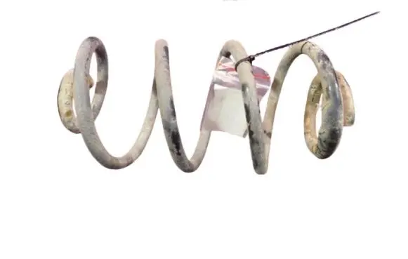 Rear coil spring