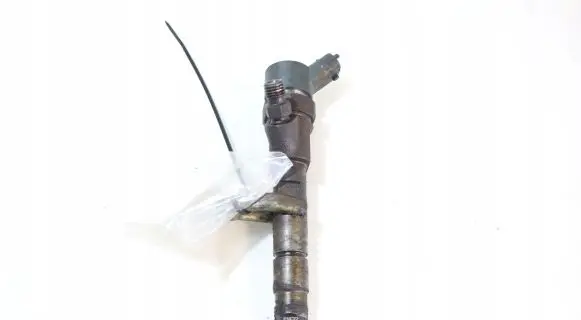 Renault Megane II Fuel injector 0445110110B