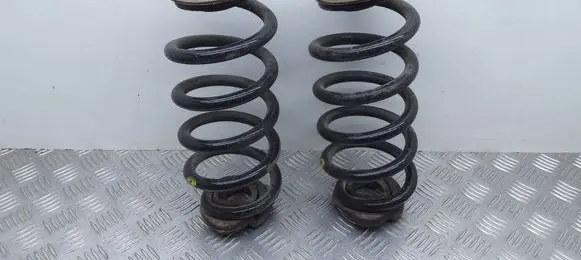 Rear coil spring