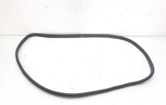 BMW X3 F25 Front door rubber seal 7311258