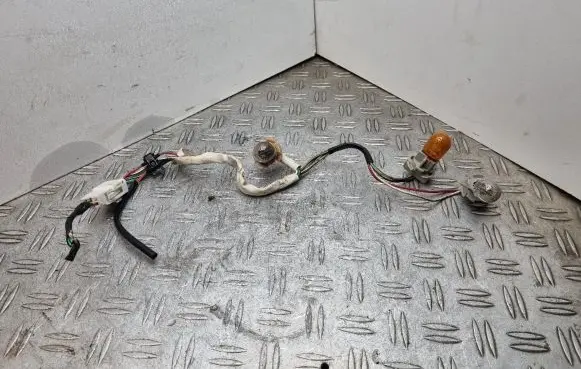 Tail light bulb cover holder