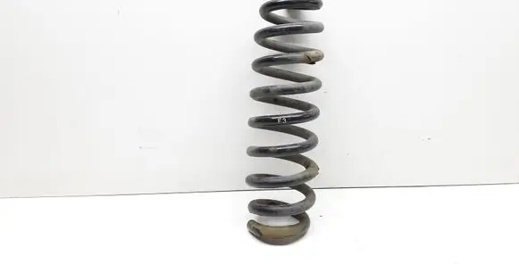 Rear coil spring