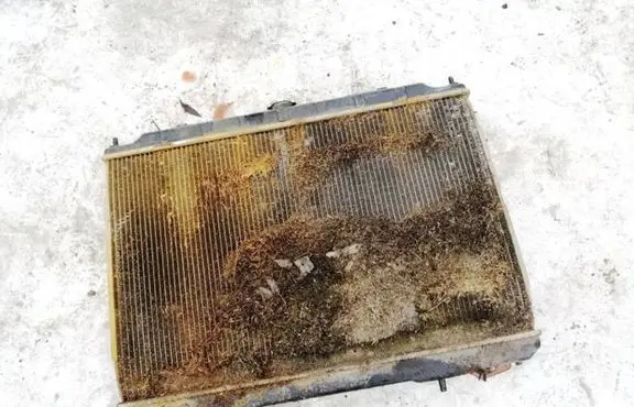 Nissan X-Trail T30 Coolant radiator