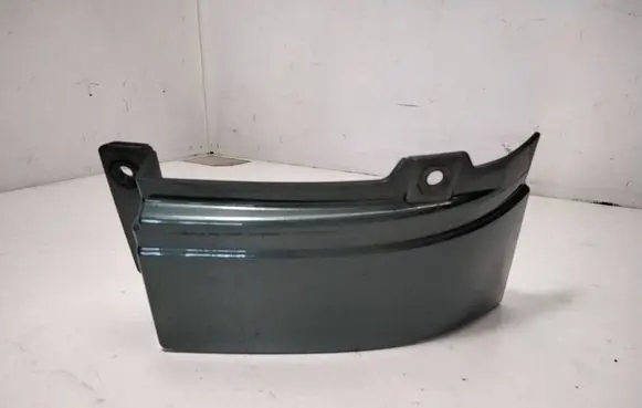 Rear/tail light trim molding