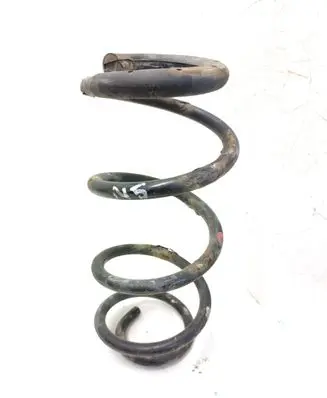 Rear coil spring