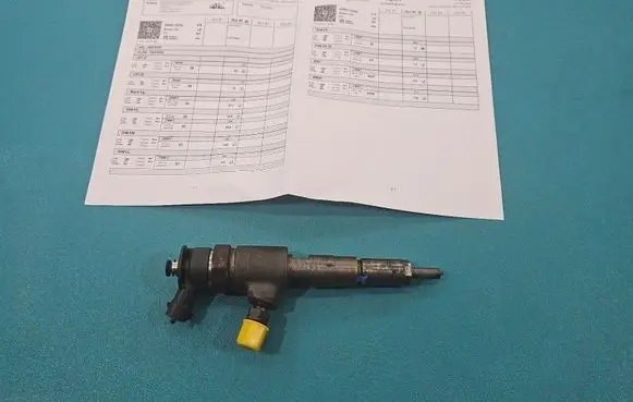 Citroen C3 Fuel injector 0445110252 IMPRK1523431