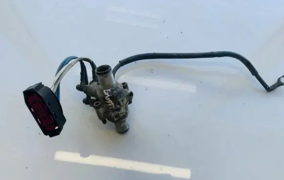 Renault Laguna III Engine coolant pipe/hose