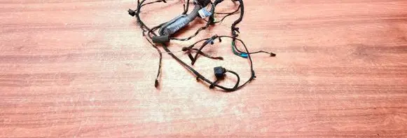BMW 7 F01 F02 F03 F04 Front door wiring loom 9234338
