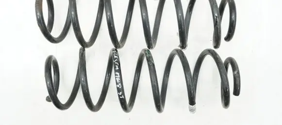 Rear coil spring