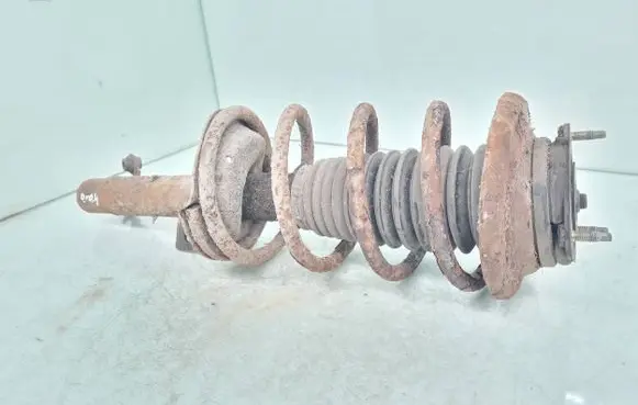 Ford Focus Front shock absorber with coil spring