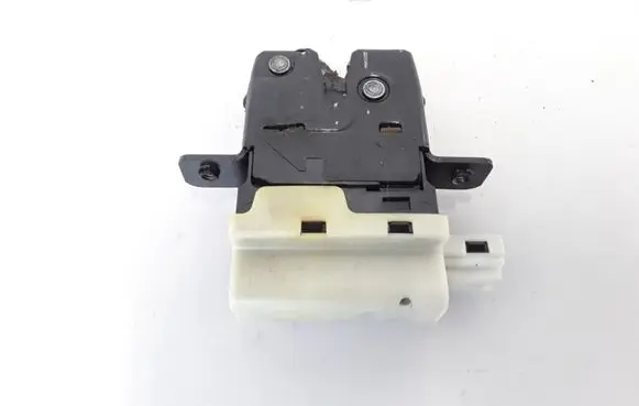 Renault Espace - Grand espace IV Loading door lock 8200090484