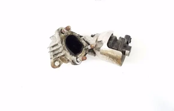 Hyundai Santa Fe EGR valve 284102F700