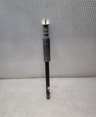 Dacia Spring Rear shock absorber/damper 562103041R