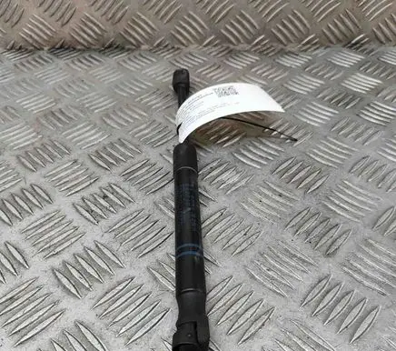 BMW X3 G01 Front bonnet/hood damper/strut 7397493