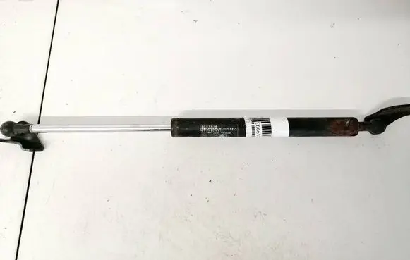 Tailgate/trunk strut/damper