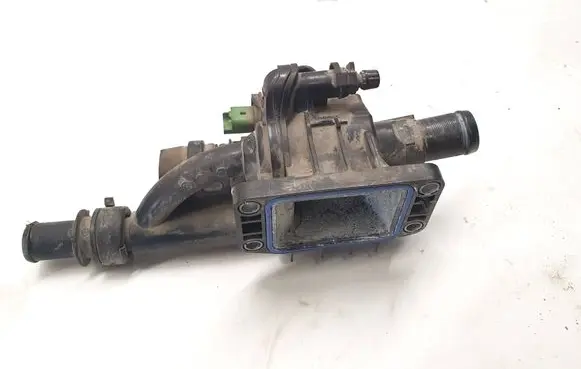 Thermostat/thermostat housing