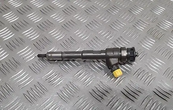 Renault Kangoo II Fuel injector 0445110485 H8201108033