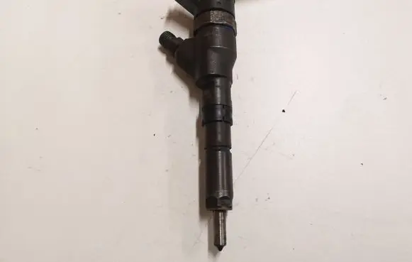 Peugeot 406 Fuel injector 0445110044 9637536080