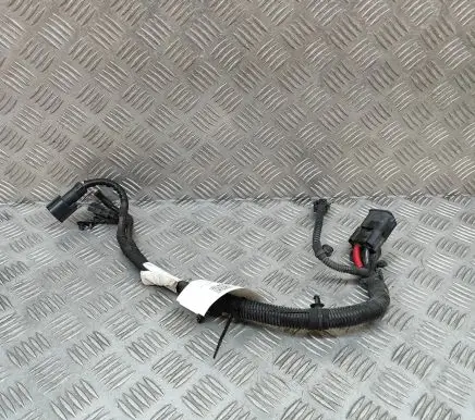 Other wiring loom