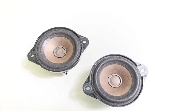 Tesla Model S Panel speaker 100483301A