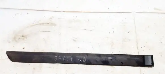 Hyundai Elantra Rear door trim (molding)