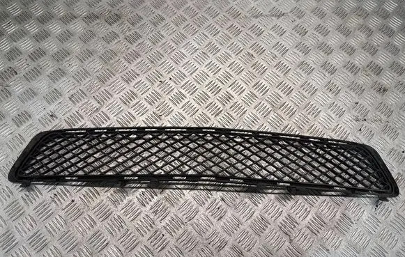 Front bumper lower grill