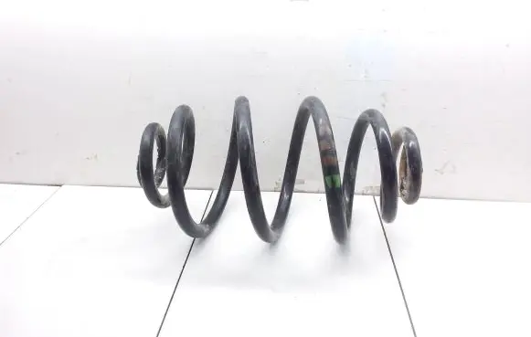 Volkswagen PASSAT B5.5 Rear coil spring