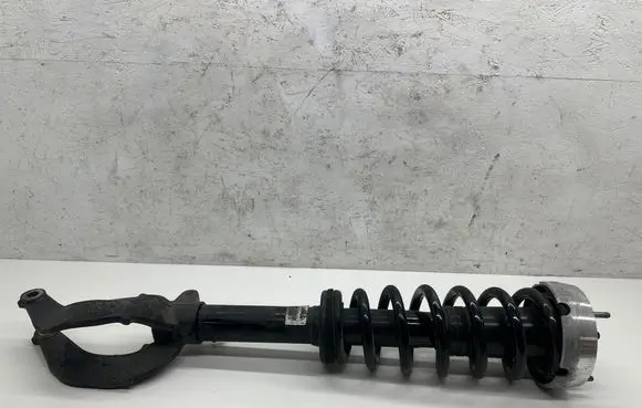 BMW X6 E71 Front shock absorber with coil spring 2701660445