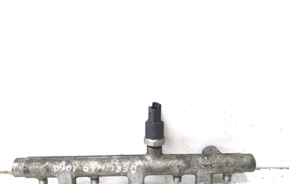 Peugeot 307 Fuel main line pipe 0445214019