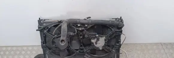 Peugeot 4007 Radiator set 1350A206 10000A83A0 132634