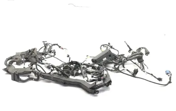 Other wiring loom