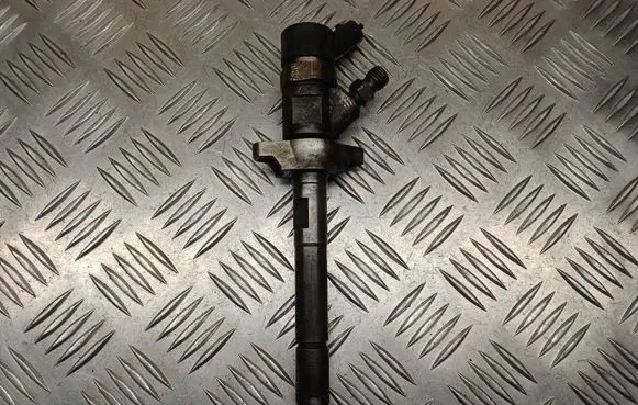 Citroen C4 I Fuel injector 0445110239