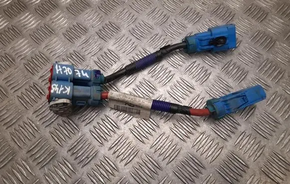 Land Rover Range Rover Evoque L551 Other wiring loom K8D214N166AD