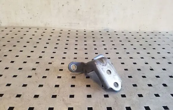 KIA Sportage Front door lower hinge 