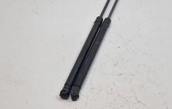 Nissan Qashqai Tailgate/trunk strut/damper 904504EA0A