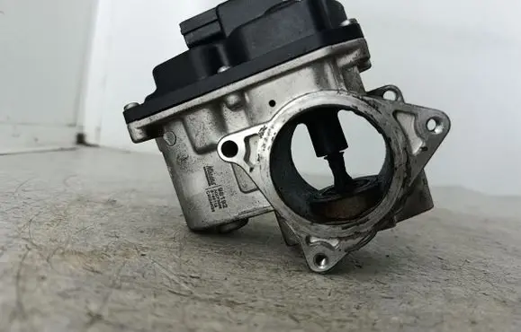 Volkswagen Tiguan EGR valve 98192