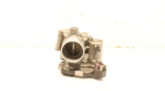 Throttle body valve