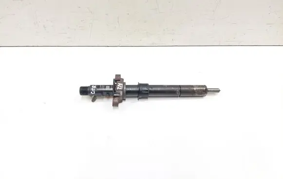Citroen C5 Fuel injector 9656389980 EJBR03801D 1489JB06F82