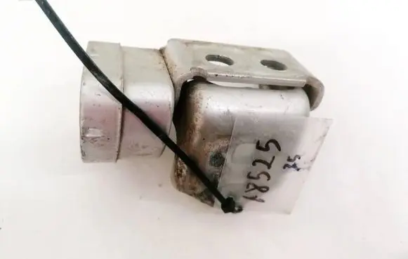 Renault Scenic II - Grand scenic II Rear door lower hinge