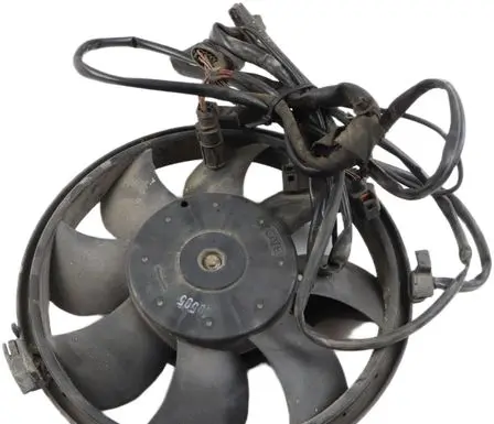 Volkswagen PASSAT B5.5 Electric radiator cooling fan 8D0959455R 5020202