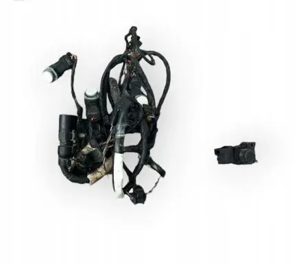 Volkswagen Touareg III Parking sensor (PDC) wiring loom 760971095DF