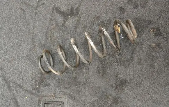 Skoda Octavia Mk3 (5E) Rear coil spring