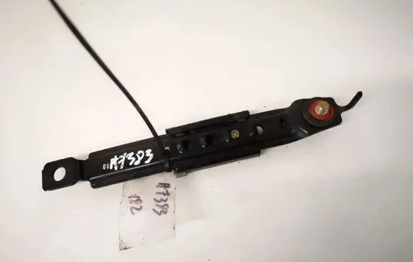KIA Carnival Other control units/modules