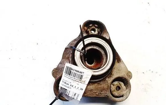 Coil spring mount