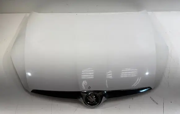Skoda Fabia Mk2 (5J) Engine bonnet/hood