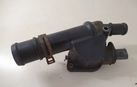 Thermostat/thermostat housing